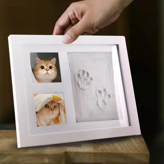 Pet Pawprint Frame DIY