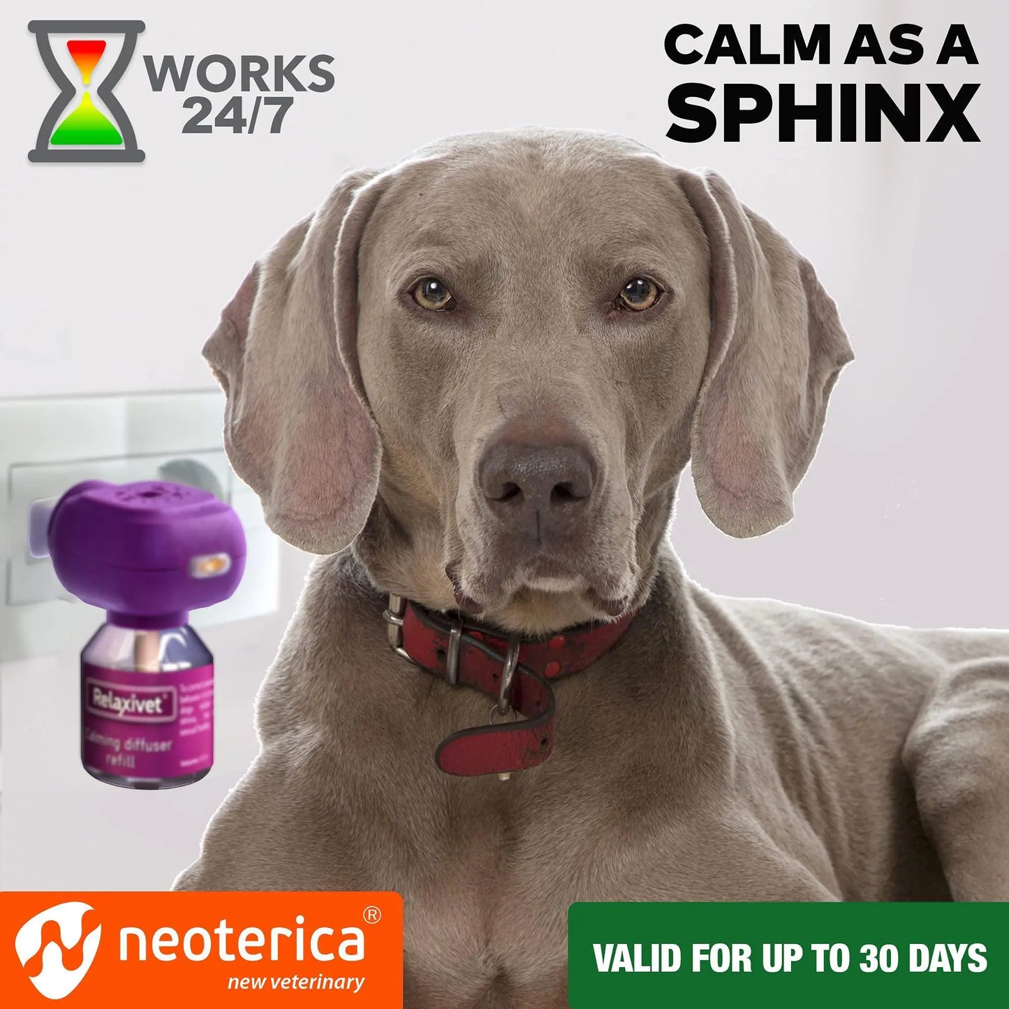 Soothing Pheromone Diffuser for Dogs