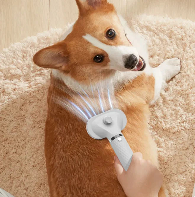 Pet Groomer
